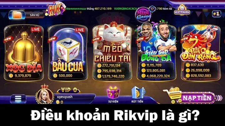 Điều khoản Rikvip là gì? 